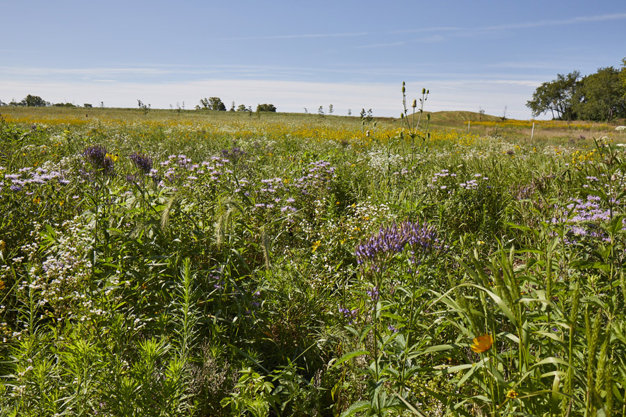 TRC_Loc25_ENV_072522_website_02_S2A6196