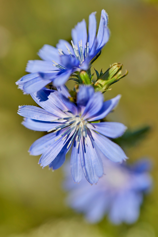 TRC_Loc25_ENV_072522_website_04_S2A5809