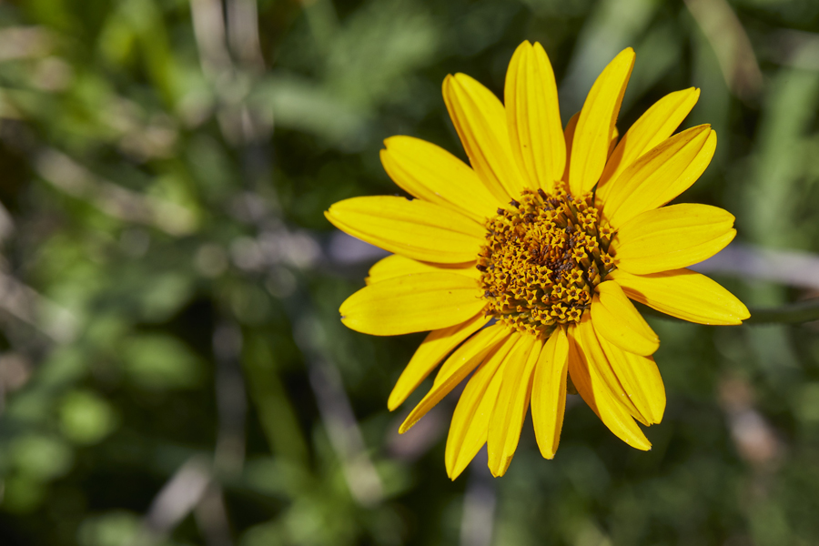 TRC_Loc25_ENV_072522_website_08_S2A6232