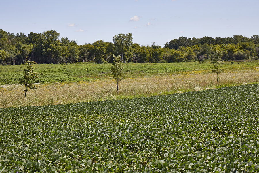 TRC_Loc25_ENV_072522_website_12_S2A6537