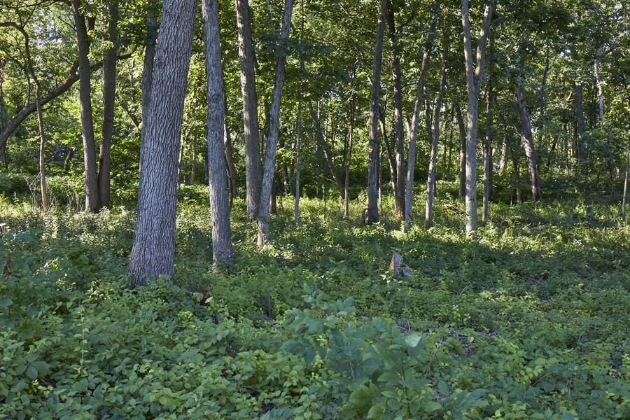 TRC_Loc25_ENV_072522_website_17_S2A5926