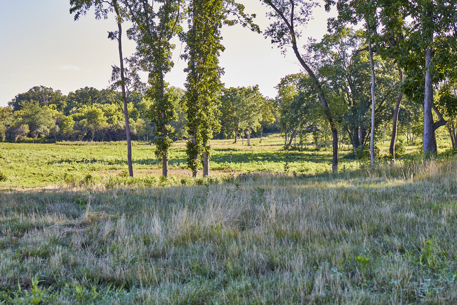 TRC_Loc25_ENV_072522_website_18_S2A5821