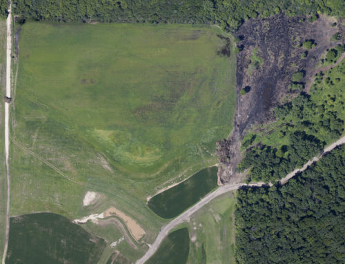 Wetland Mitigation Improves Ecology in Burlington Wisconsin
