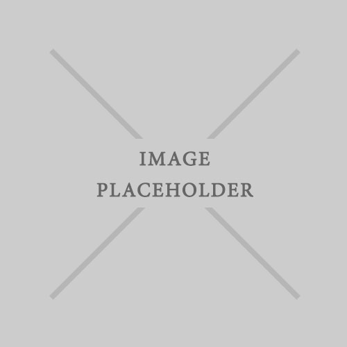 placeholder-500x500_FPO