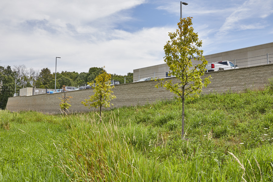 TRC_Loc26_COM_081622_website_07_S2A9298