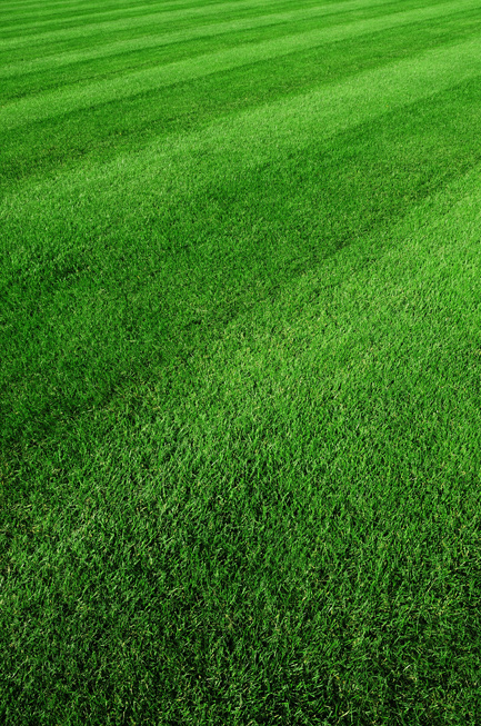 TRC_LAND_RES_NewConstruction_Intro_1