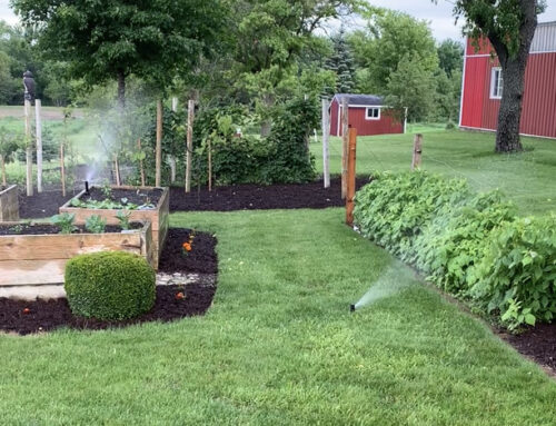 Where to Start When Planning an Irrigation System