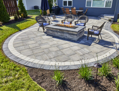 Questions to Ask Before Hiring a Landscape Professional