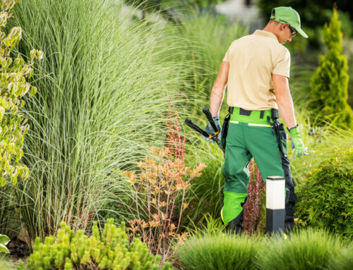 What to Consider When Hiring a Commercial Landscape Maintenance Partner