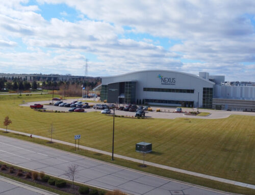 Why Your Commercial Property Needs Proactive Outdoor Management